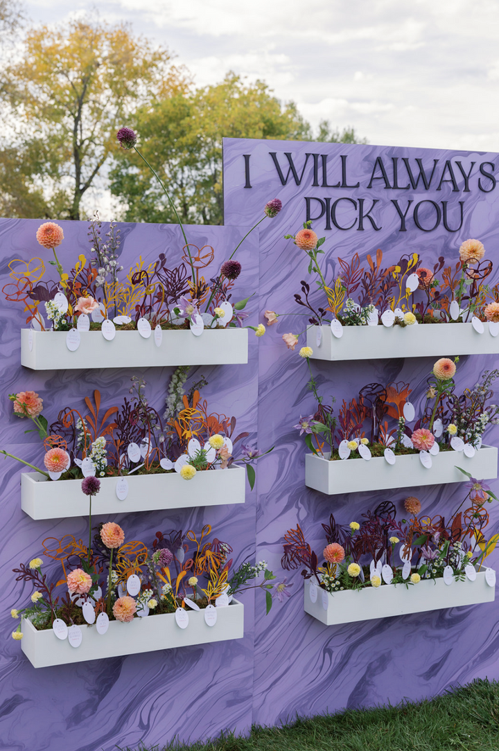 Accent Walls + Displays – Dizzy & Jayne